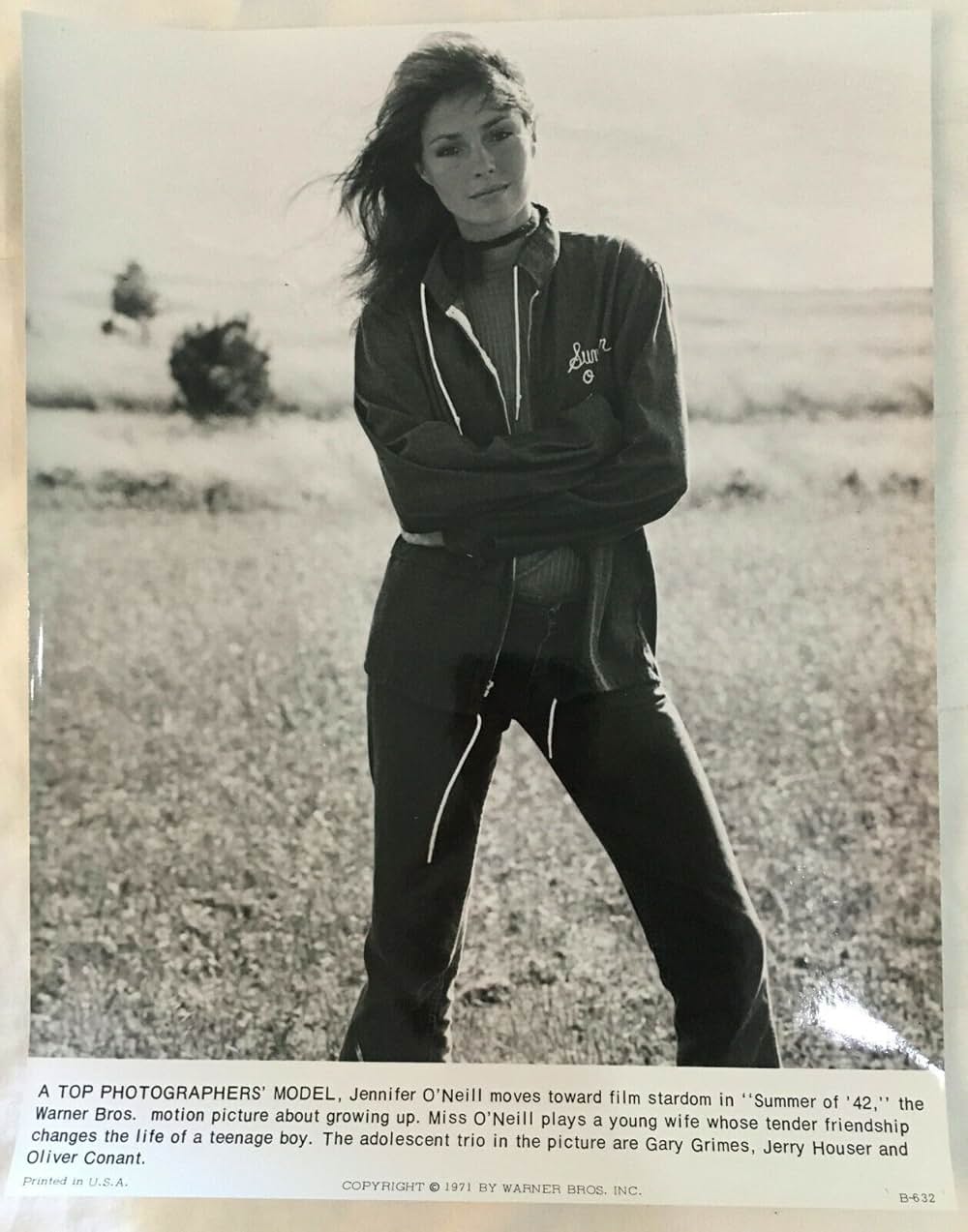 おもいでの夏の画像