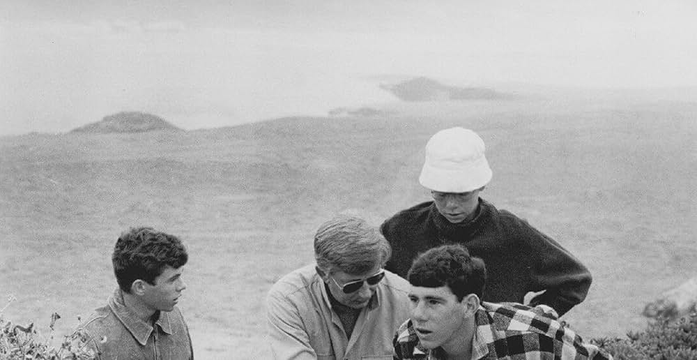 おもいでの夏の画像