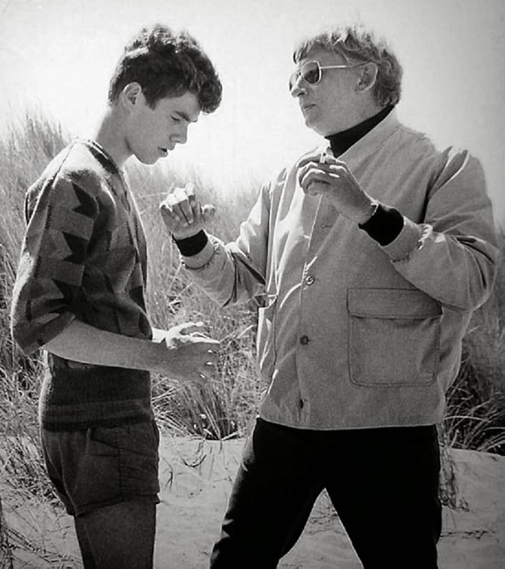 おもいでの夏の画像