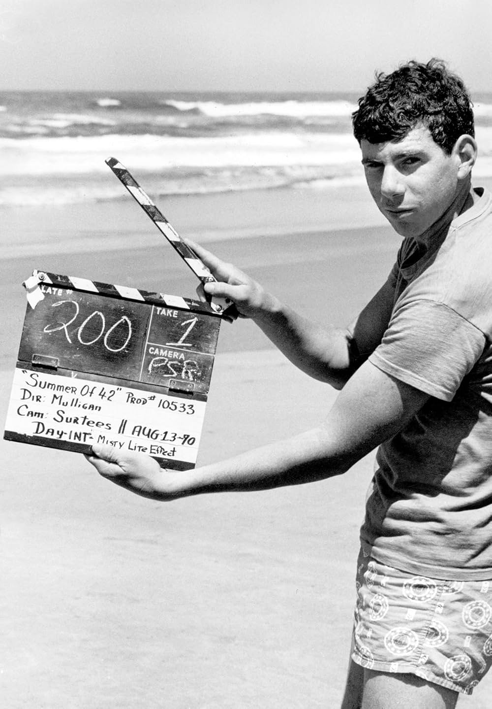 おもいでの夏の画像