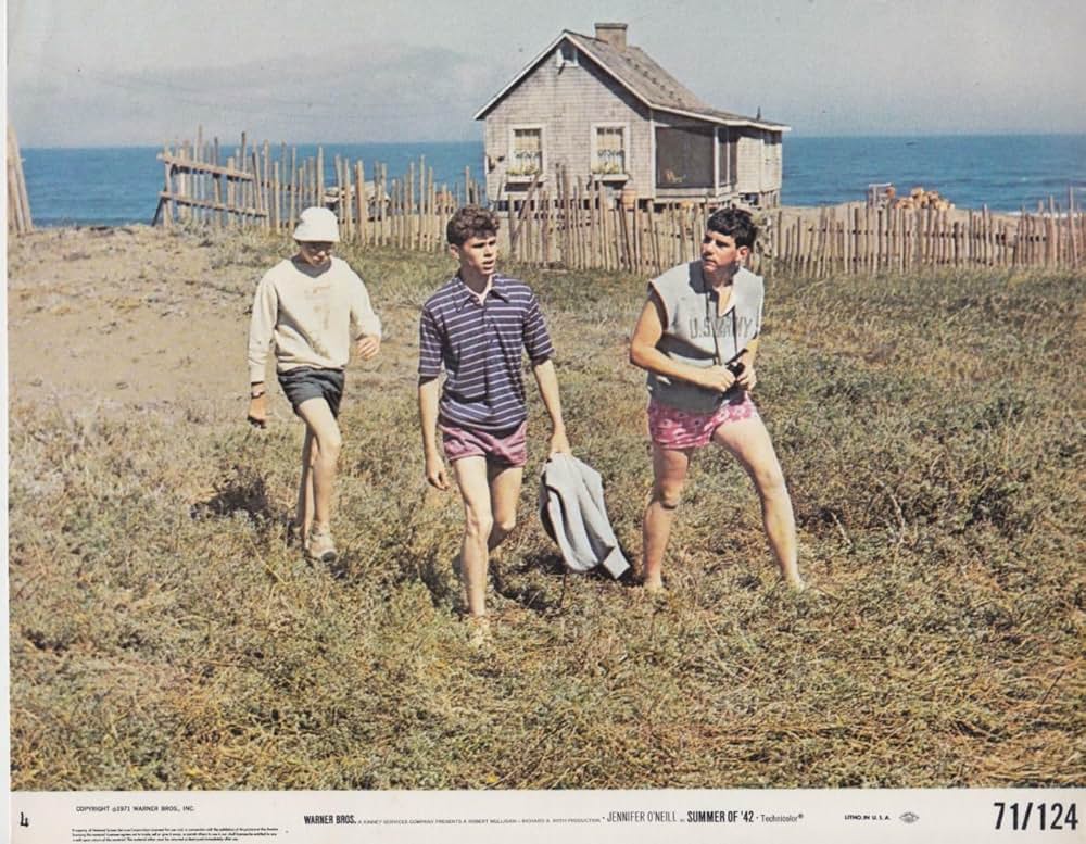 おもいでの夏の画像