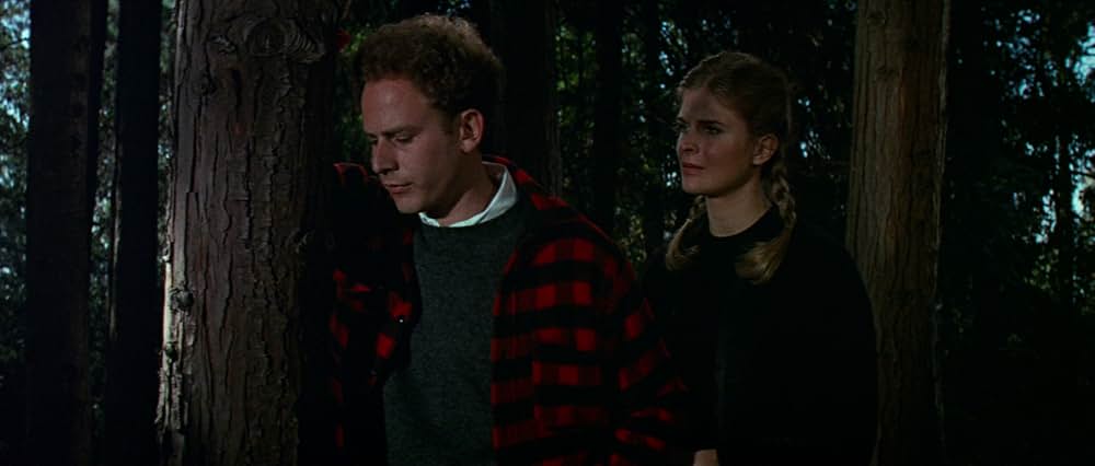 愛の狩人の画像