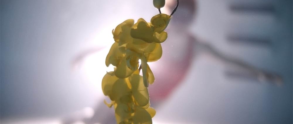 アップストリーム・カラーの画像