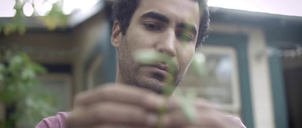 アップストリーム・カラーの画像