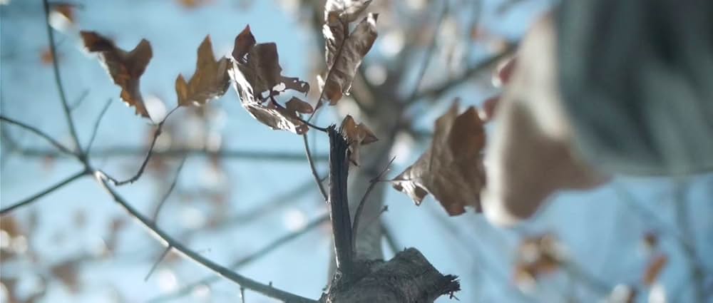 アップストリーム・カラーの画像