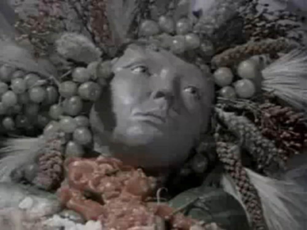 フローラの画像