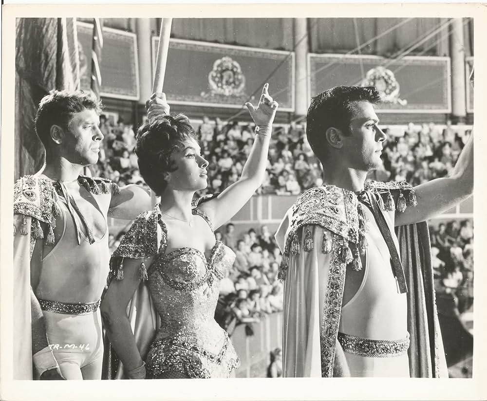 空中ぶらんこの画像