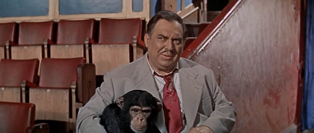 空中ぶらんこの画像