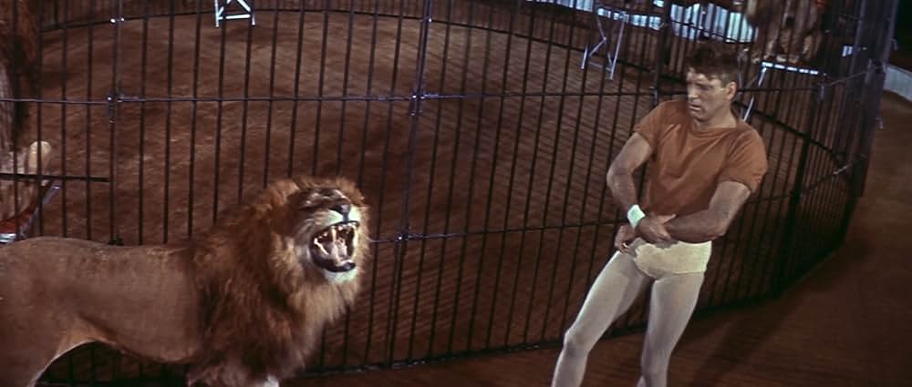 空中ぶらんこの画像