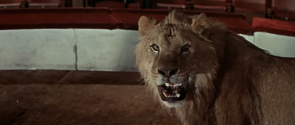 空中ぶらんこの画像