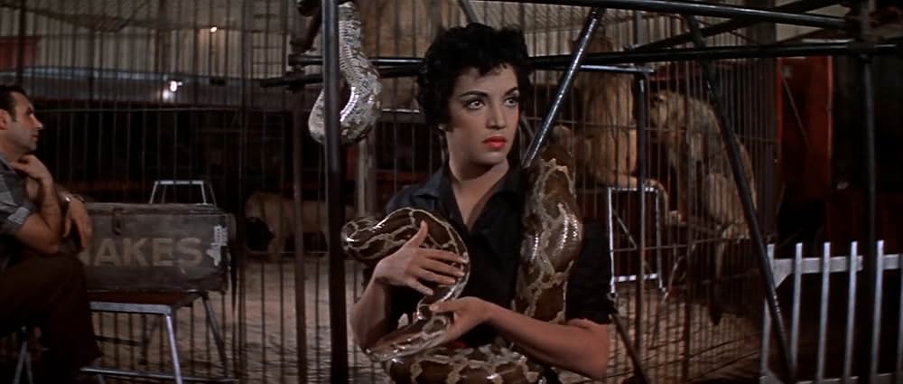 空中ぶらんこの画像