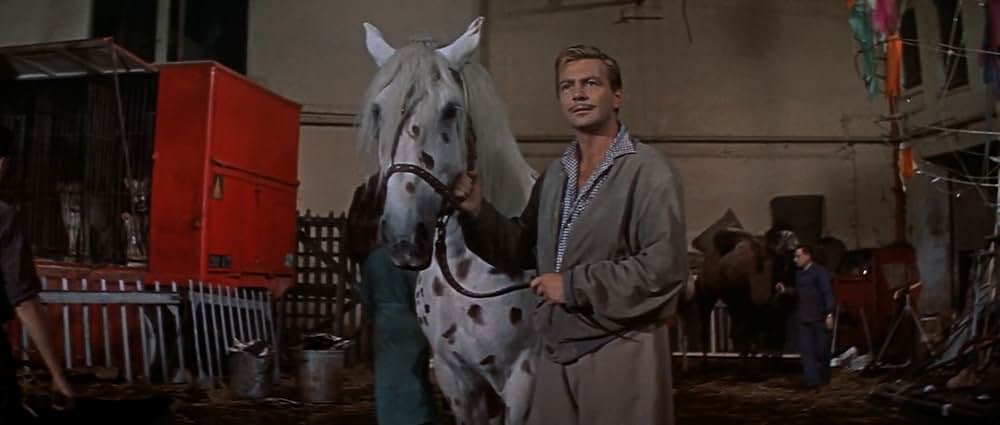 空中ぶらんこの画像