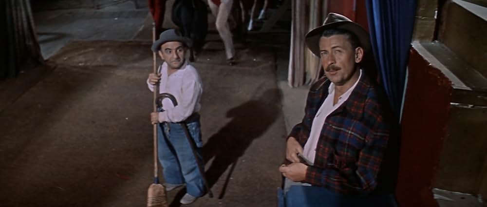 空中ぶらんこの画像