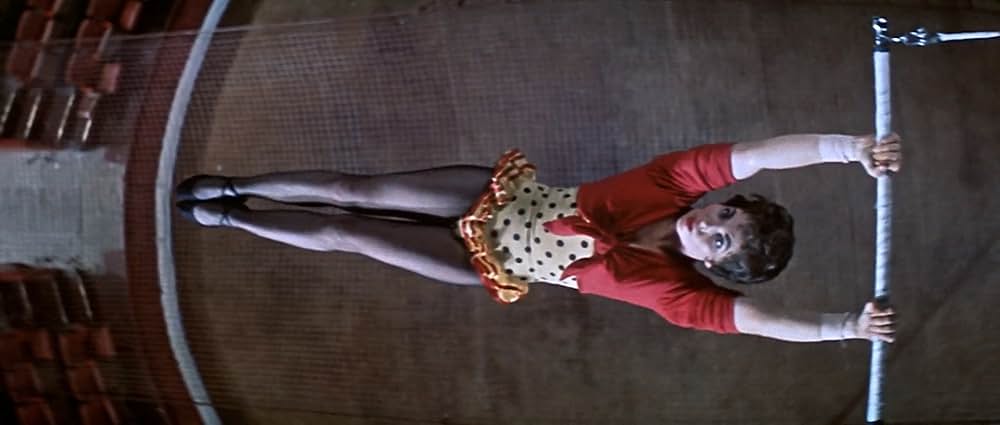 空中ぶらんこの画像