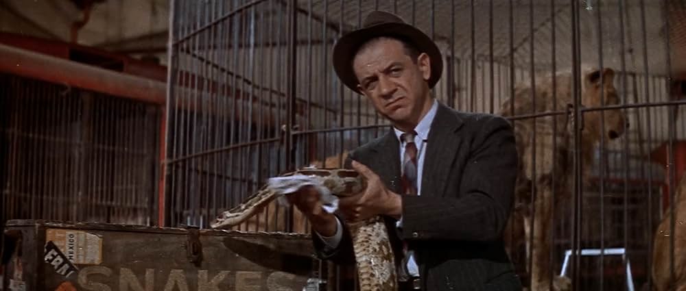 空中ぶらんこの画像