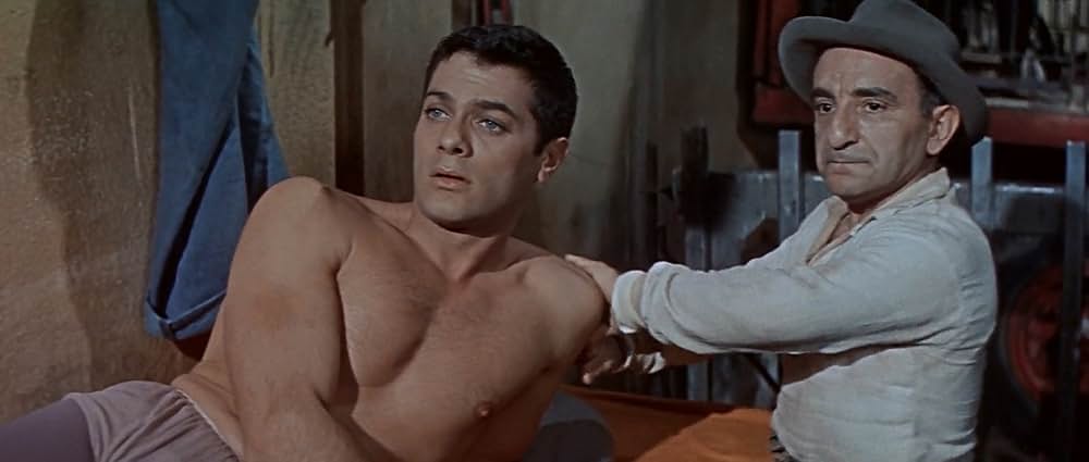 空中ぶらんこの画像