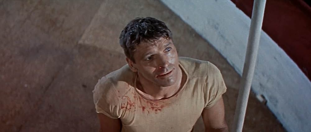 空中ぶらんこの画像