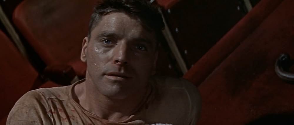 空中ぶらんこの画像