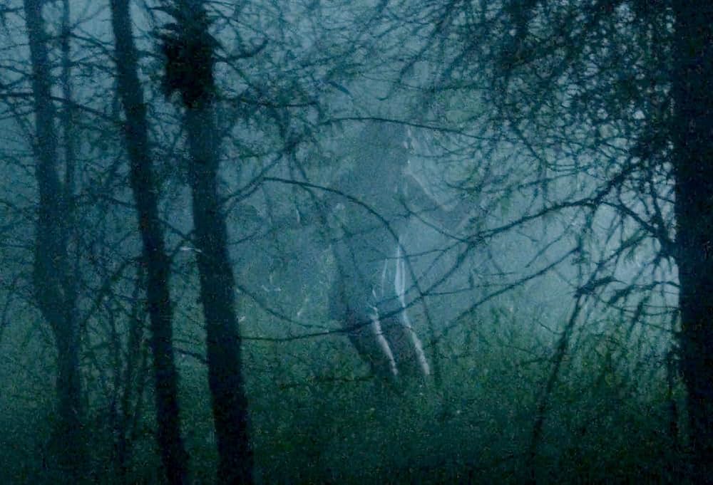 狼男バサーカーの画像