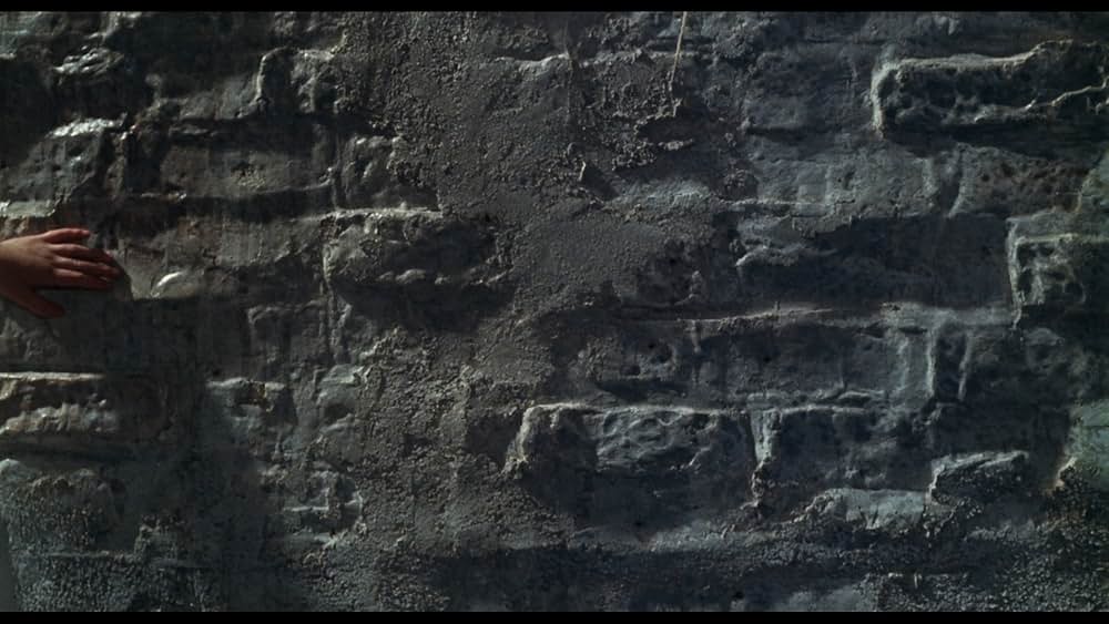 殺人鬼の森の画像