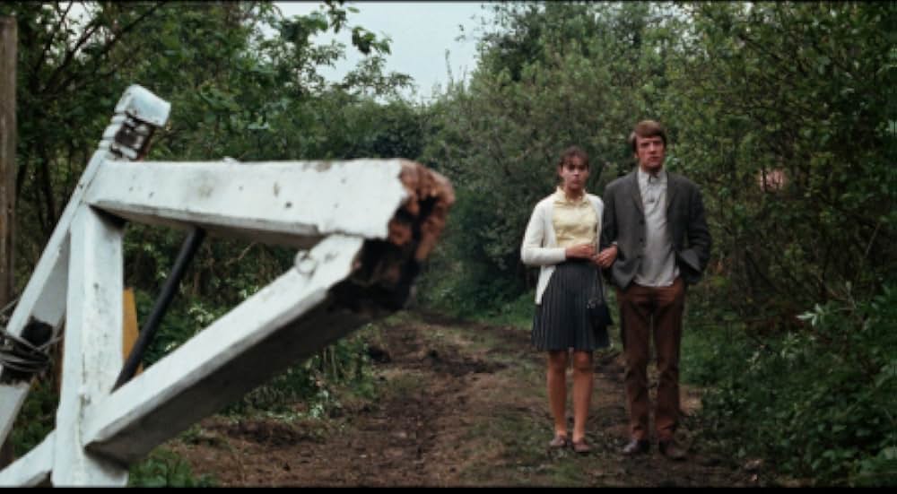 殺人鬼の森の画像