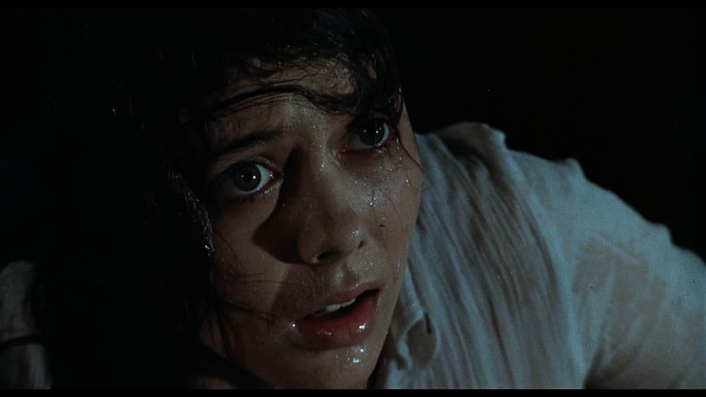 殺人鬼の森の画像