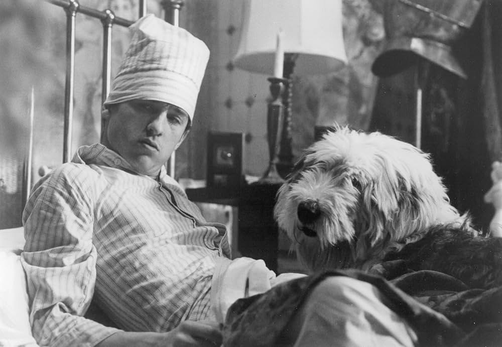 ダルク家の三姉妹の画像