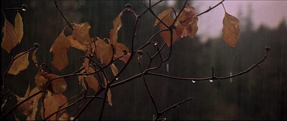 ギャンブラーの画像