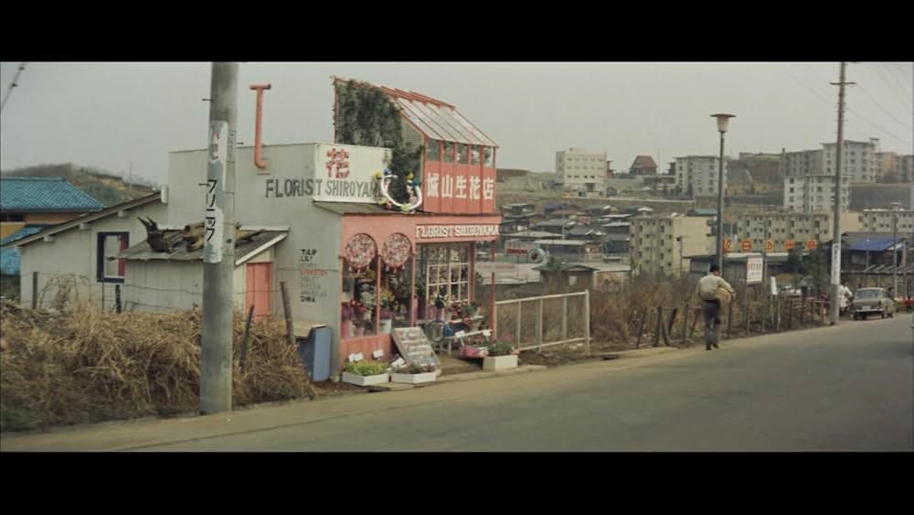 クレージーだよ奇想天外の画像