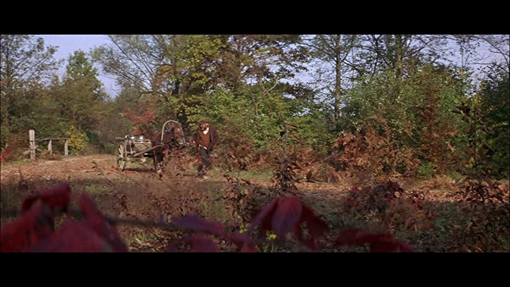 屋根の上のバイオリン弾きの画像