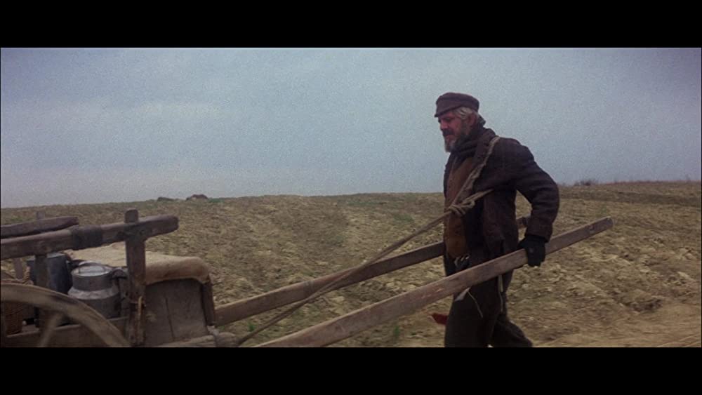 屋根の上のバイオリン弾きの画像