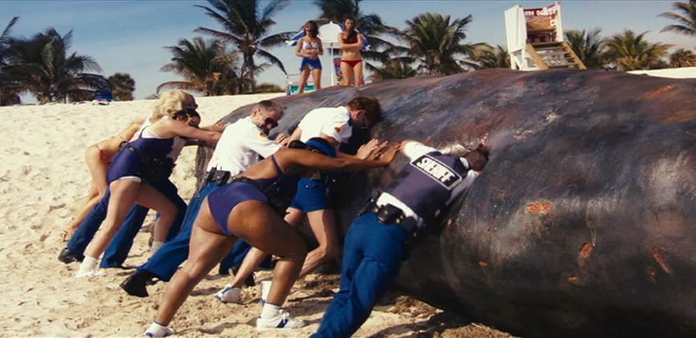 ポリス・バカデミー／マイアミ危機連発！の画像