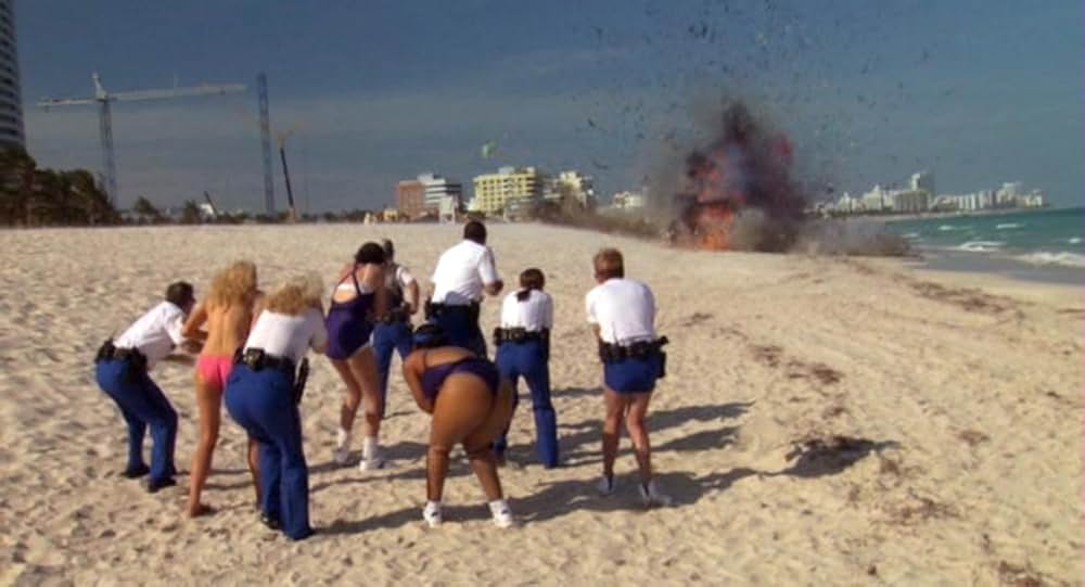 ポリス・バカデミー／マイアミ危機連発！の画像