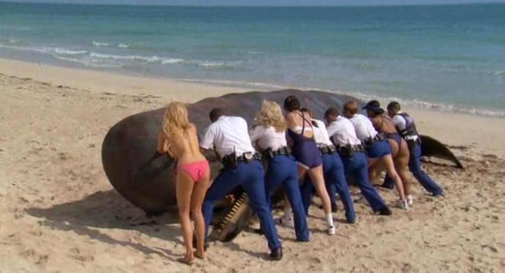 ポリス・バカデミー／マイアミ危機連発！の画像