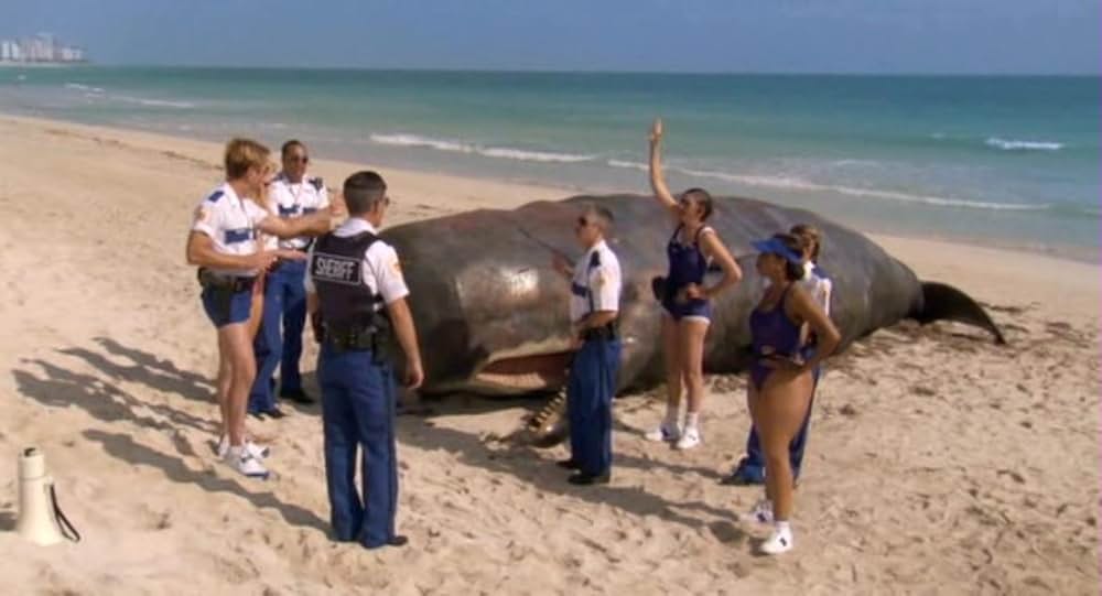 ポリス・バカデミー／マイアミ危機連発！の画像