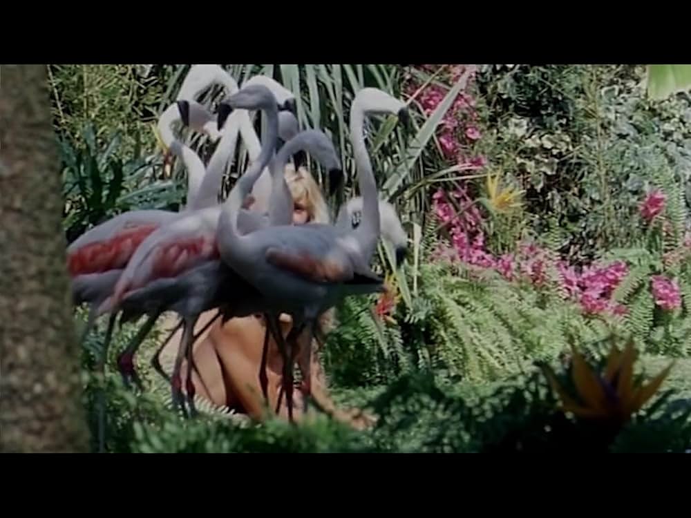 アダムとイブVS食人族の画像