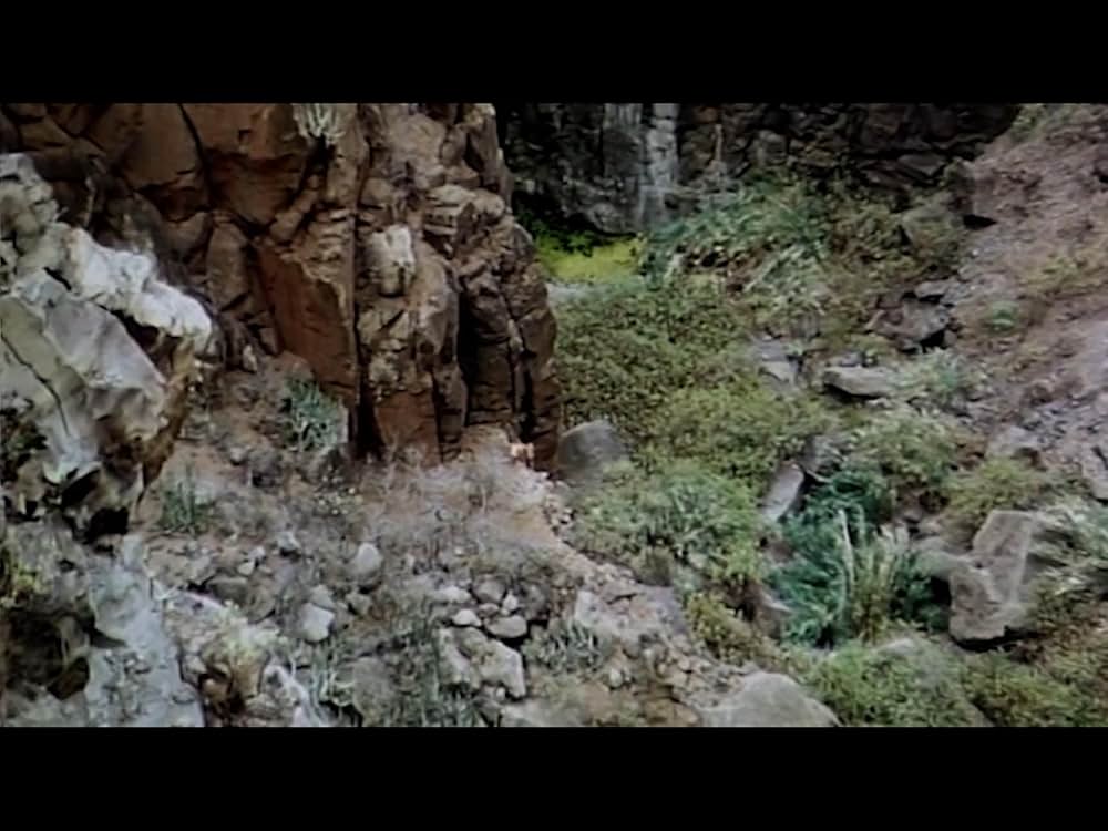 アダムとイブVS食人族の画像