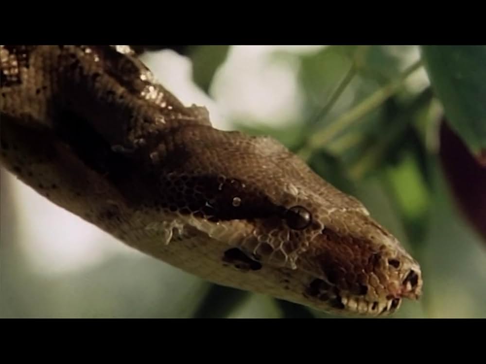 アダムとイブVS食人族の画像