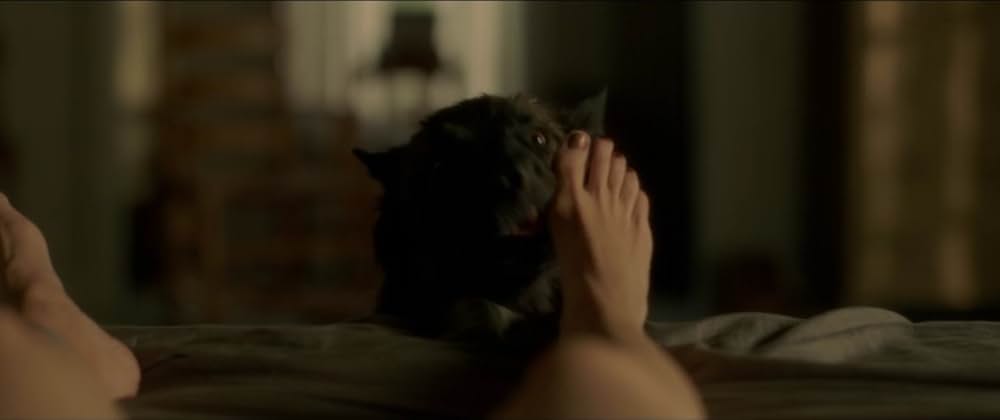 EROTICS（エロティクス） 美しい女たちの画像