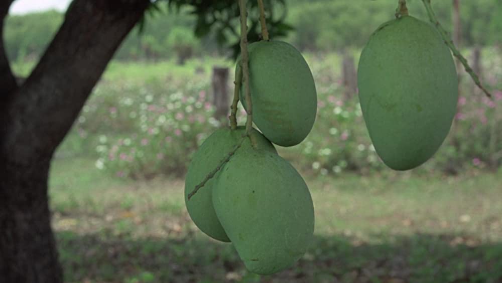 美しき冒険旅行の画像