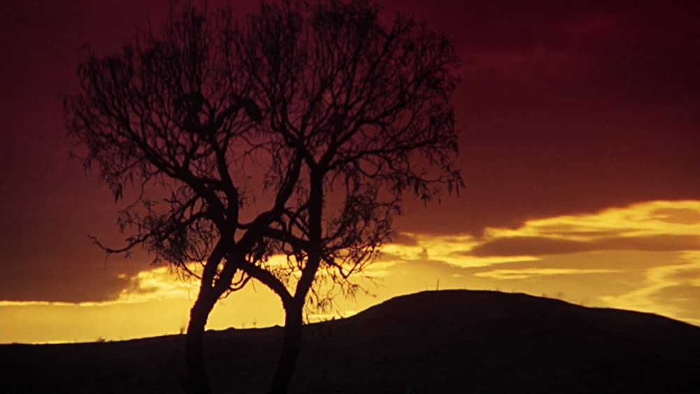 美しき冒険旅行の画像