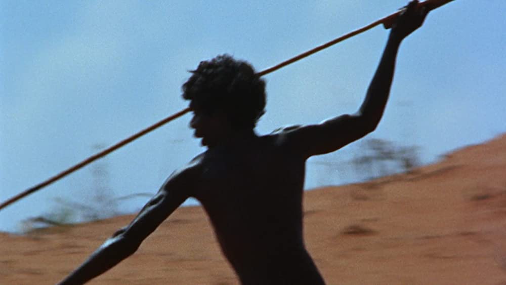 美しき冒険旅行の画像