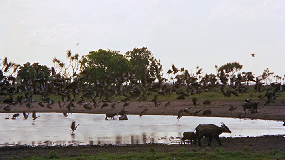 美しき冒険旅行の画像