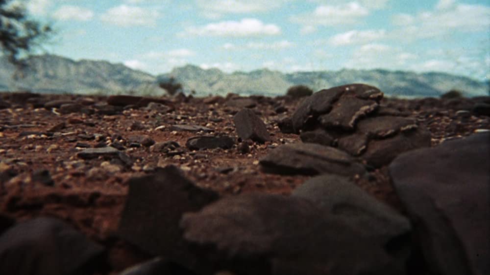 美しき冒険旅行の画像