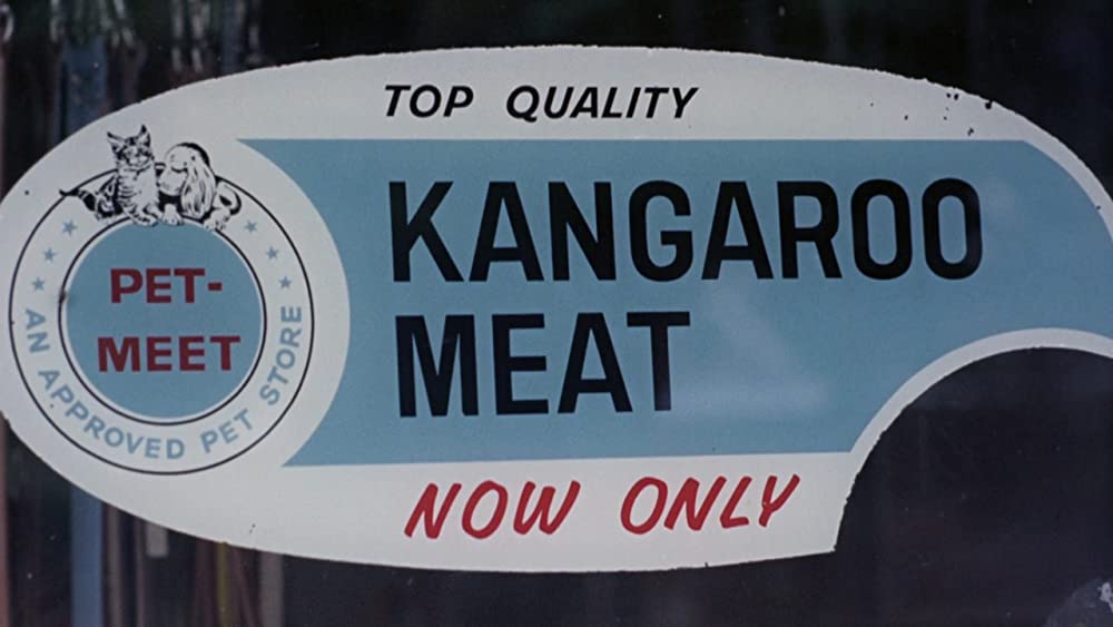 美しき冒険旅行の画像