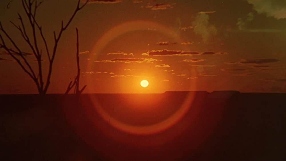 美しき冒険旅行の画像