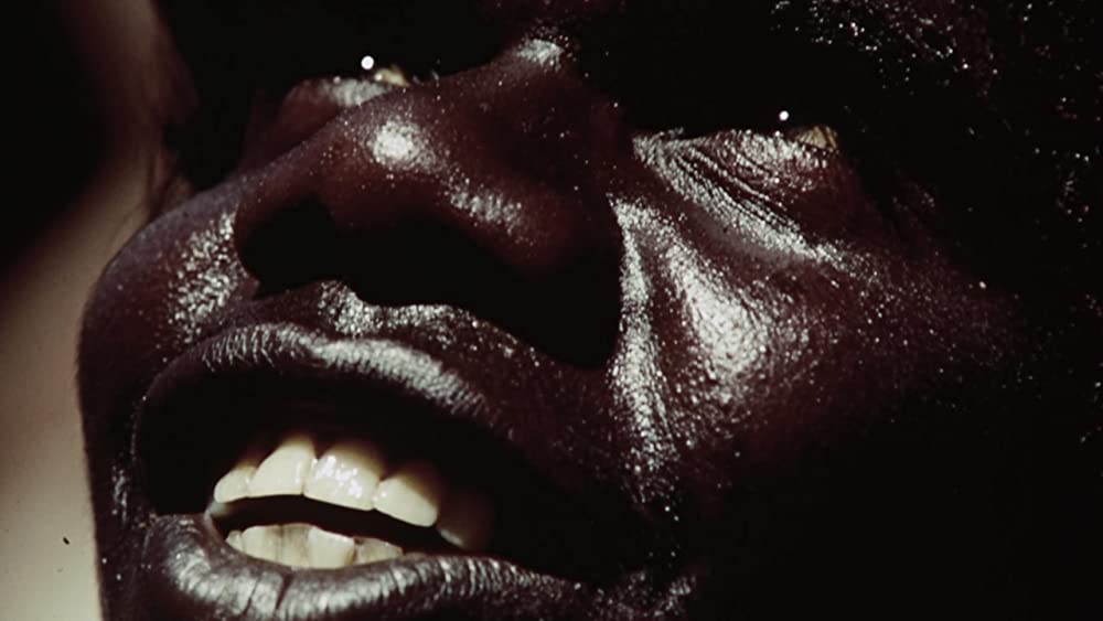 美しき冒険旅行の画像