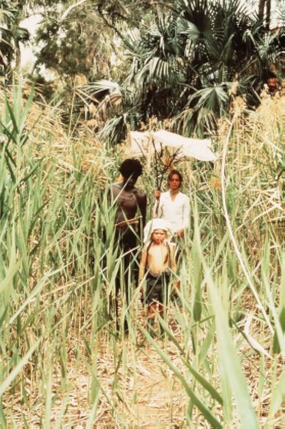 美しき冒険旅行の画像