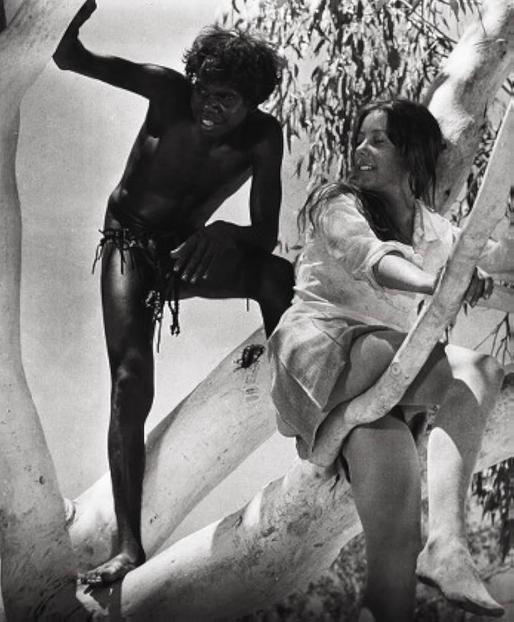 美しき冒険旅行の画像