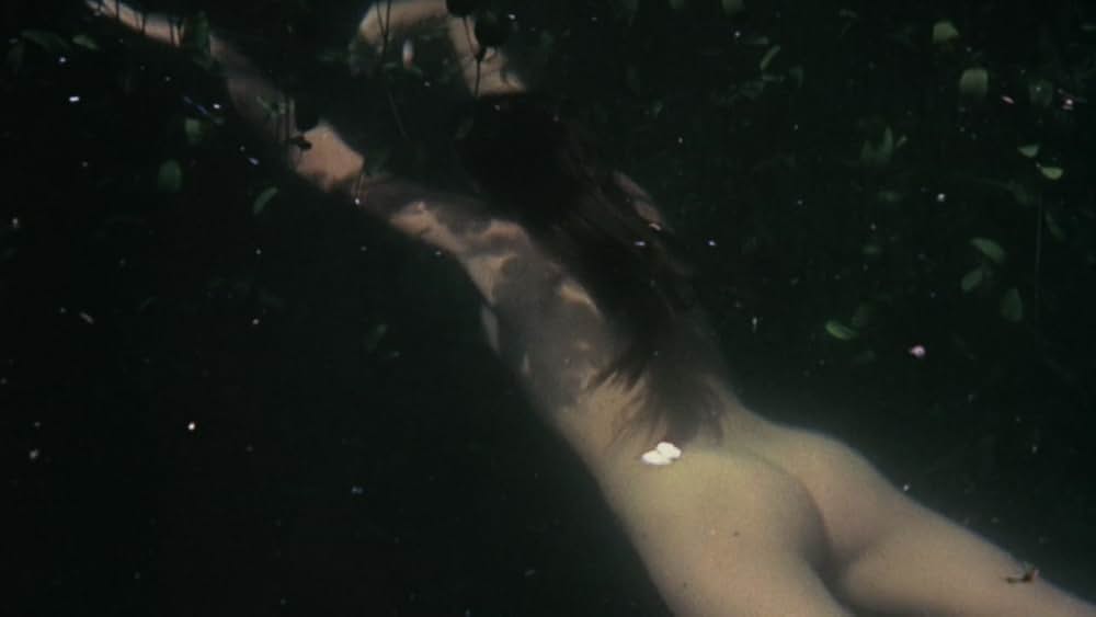 美しき冒険旅行の画像